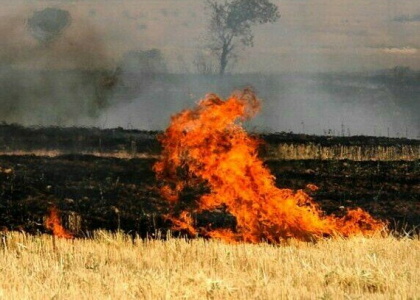 خبرگزاری صدای زنجان