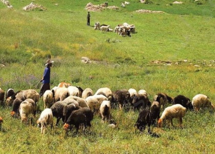 پایگاه خبری صدای زنجان
