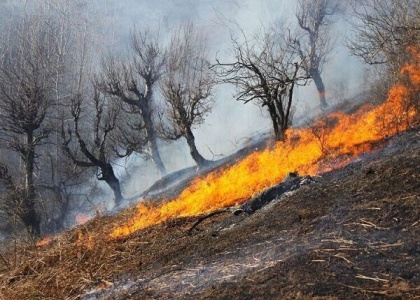 پایگاه خبری صدای زنجان