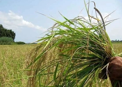 پایگاه خبری صدای زنجان