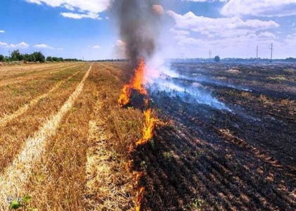 پایگاه خبری صدای زنجان