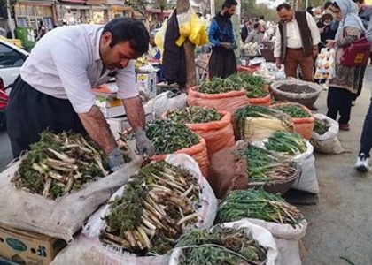 خبرگزاری صدای زنجان