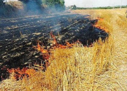 پایگاه خبری صدای زنجان