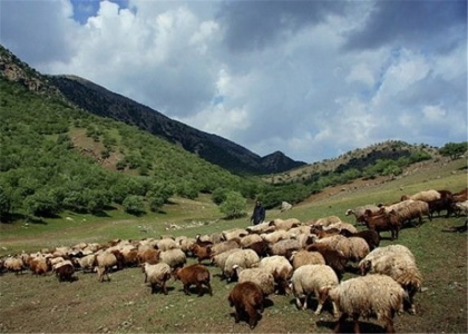پایگاه خبری صدای زنجان