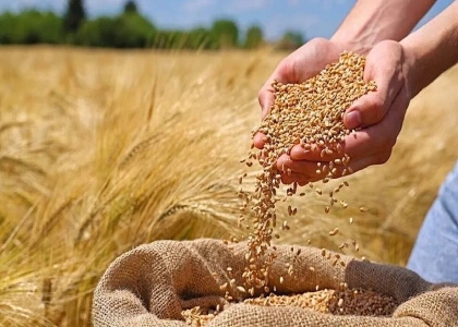 پایگاه خبری صدای زنجان