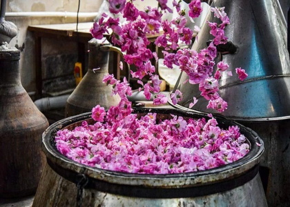 پایگاه خبری صدای زنجان
