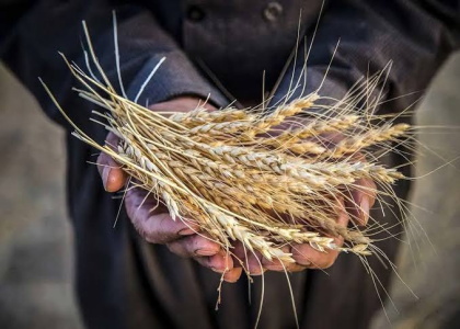 پایگاه خبری صدای زنجان
