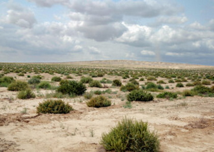 پایگاه خبری صدای زنجان