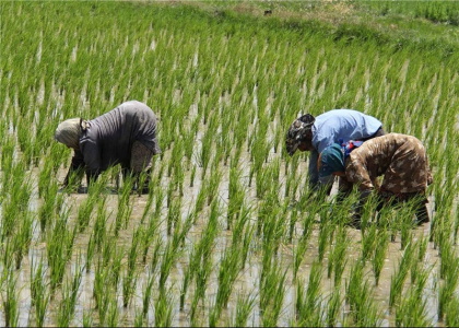 پایگاه خبری صدای زنجان