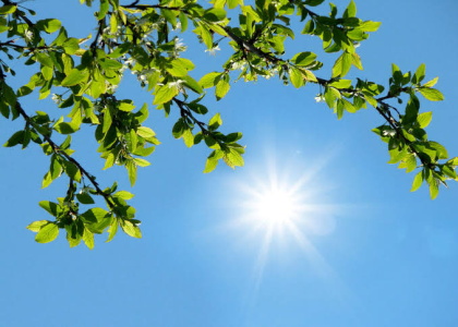 پایگاه خبری صدای زنجان