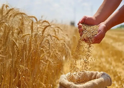 پایگاه خبری صدای زنجان