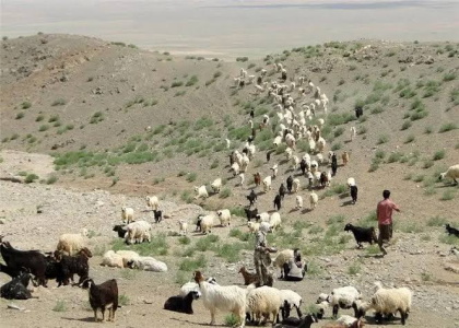 پایگاه خبری صدای زنجان