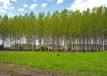 پایگاه خبری صدای زنجان