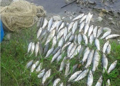 پایگاه خبری صدای زنجان