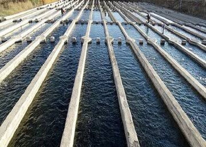 پایگاه خبری صدای زنجان