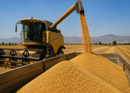 پایگاه خبری صدای زنجان