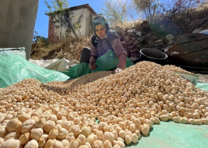 پایگاه خبری صدای زنجان