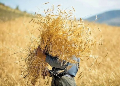 پایگاه خبری صدای زنجان