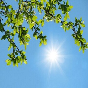 پایگاه خبری صدای زنجان