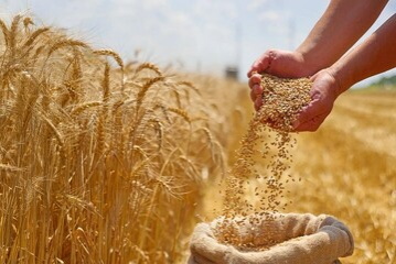 پایگاه خبری صدای زنجان