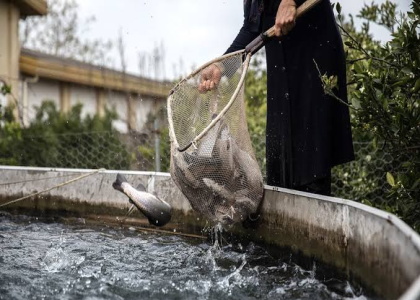 پایگاه خبری صدای زنجان