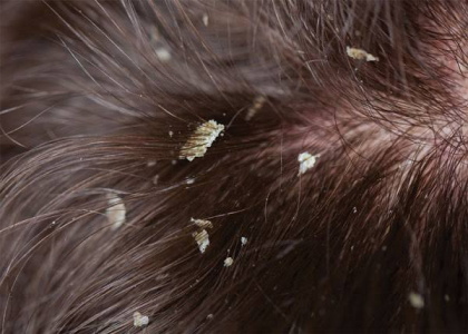پایگاه خبری صدای زنجان