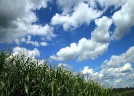 پایگاه خبری صدای زنجان