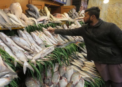 پایگاه خبری صدای زنجان