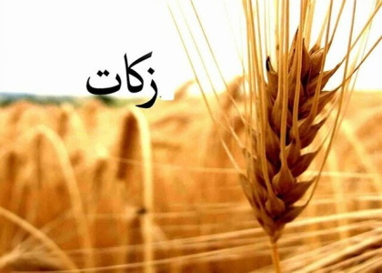 پایگاه خبری صدای زنجان