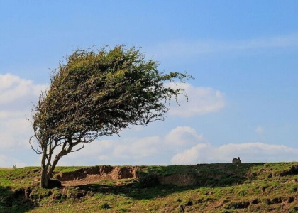 پایگاه خبری صدای زنجان