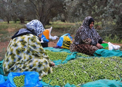 پایگاه خبری صدای زنجان