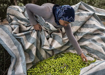 خبرگزاری صدای زنجان