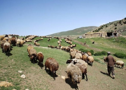 پایگاه خبری صدای زنجان