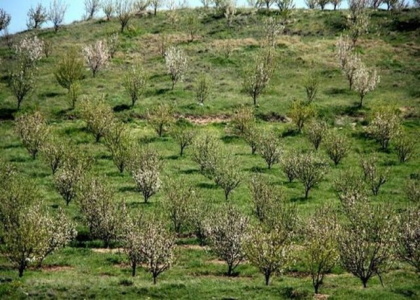 پایگاه خبری صدای زنجان