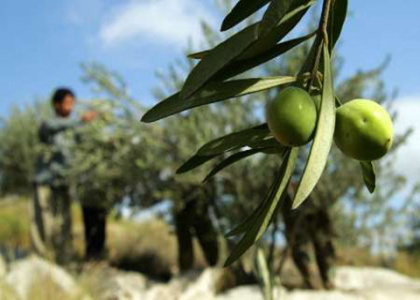 پایگاه خبری صدای زنجان