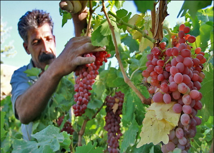 پایگاه خبری صدای زنجان
