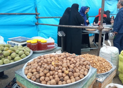 پایگاه خبری صدای زنجان