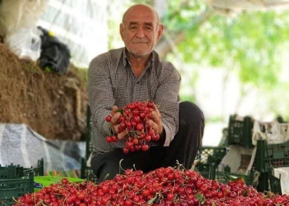 پایگاه خبری صدای زنجان