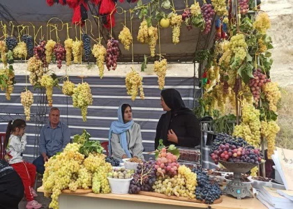 پایگاه خبری صدای زنجان