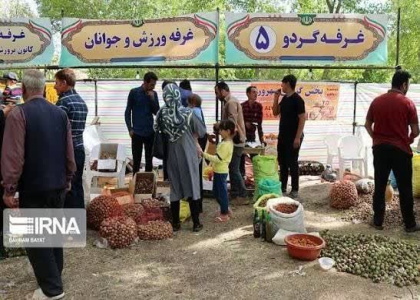 پایگاه خبری صدای زنجان