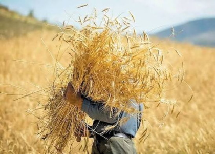 پایگاه خبری صدای زنجان