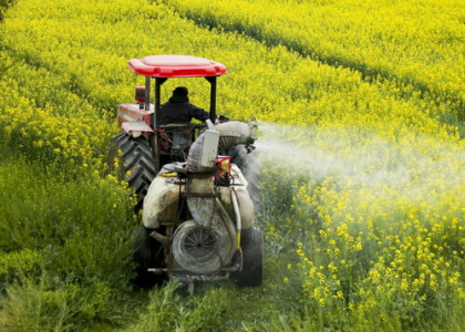 پایگاه خبری صدای زنجان