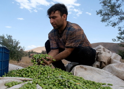 پایگاه خبری صدای زنجان
