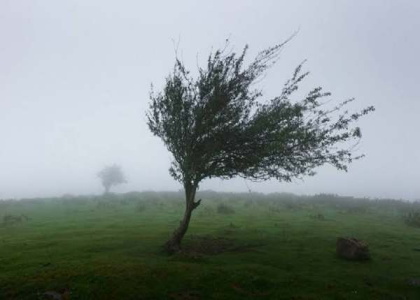 پایگاه خبری صدای زنجان