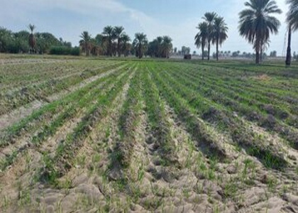 پایگاه خبری صدای زنجان