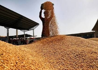 پایگاه خبری صدای زنجان