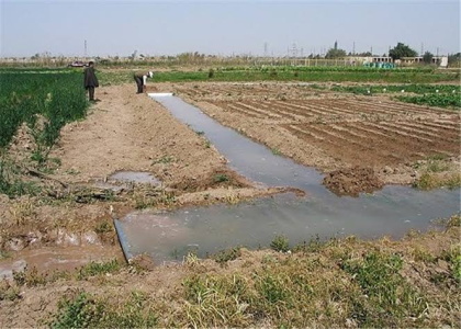 پایگاه خبری صدای زنجان