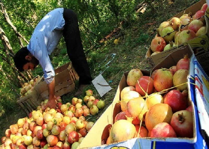 پایگاه خبری صدای زنجان