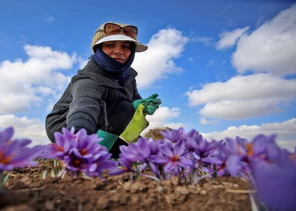 خبرگزاری صدای زنجان