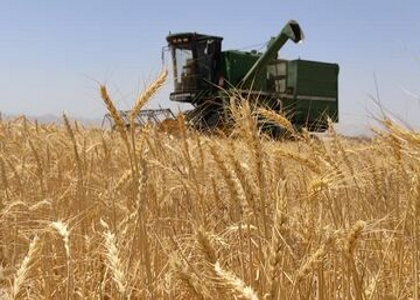 پایگاه خبری صدای زنجان